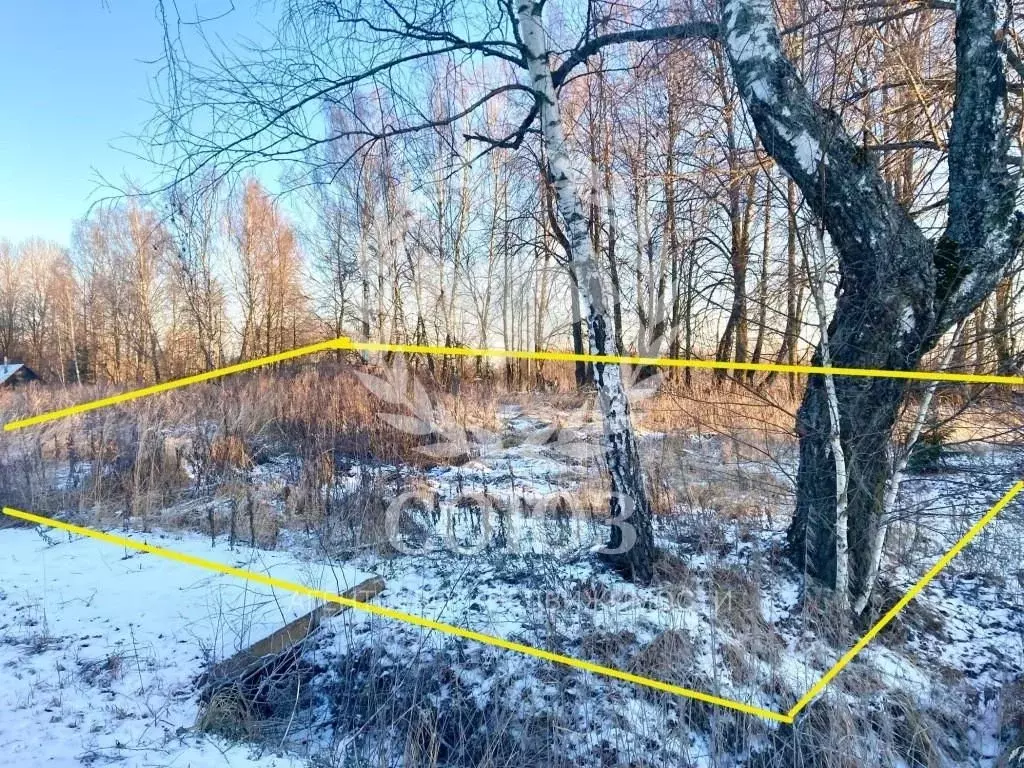 Участок в Калужская область, Село Ферзиково с/пос, д. Елькино  (20.0 ... - Фото 1