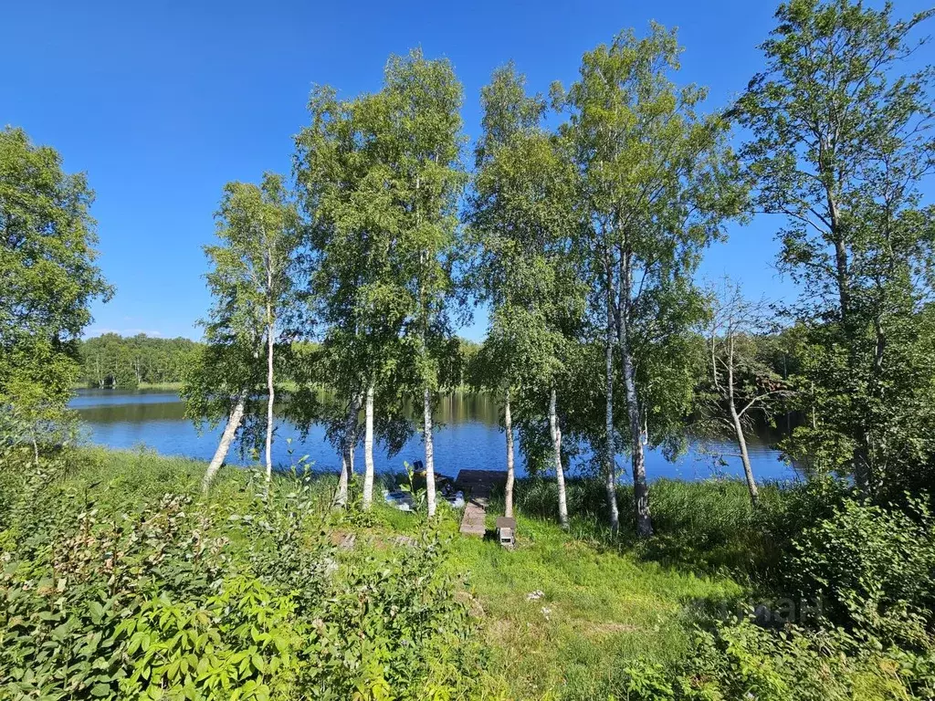 Дом в Карелия, Кондопожский район, Петровское с/пос, Марциальные Воды ... - Фото 0