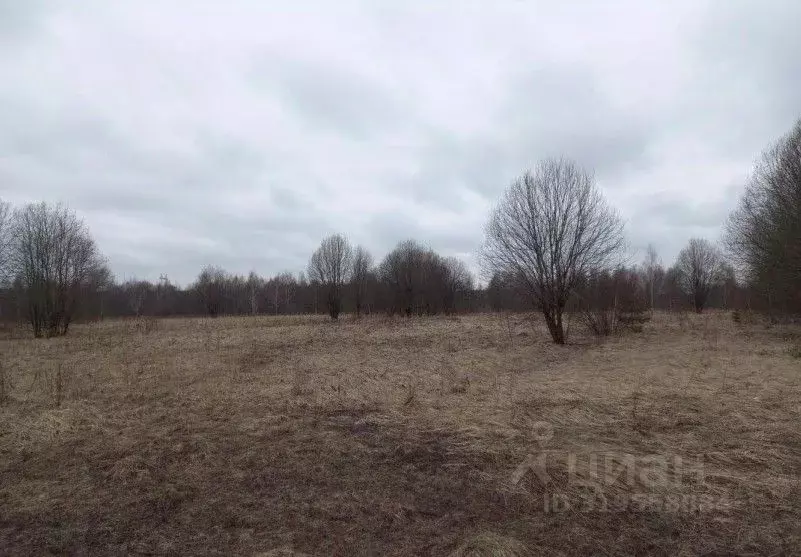 Участок в Московская область, Дмитровский муниципальный округ, д. ... - Фото 1