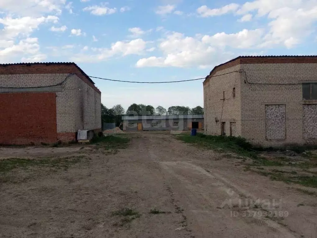 Склад в Калужская область, пос. Бабынино ул. Кооперативная (1000 м) - Фото 1