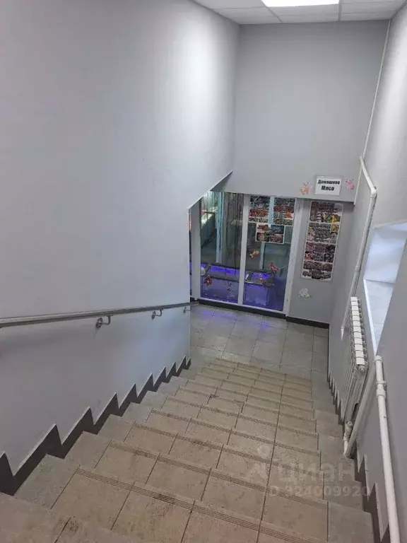 Помещение свободного назначения в Оренбургская область, Оренбург ... - Фото 1