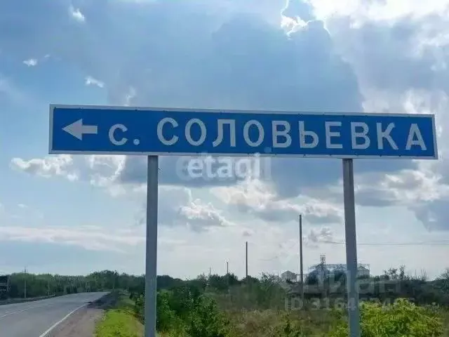 Участок в Оренбургская область, Оренбургский район, пос. Соловьевка ... - Фото 0