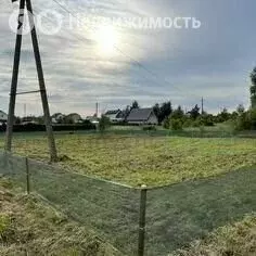 Участок в Янтарный, Брусничная улица (8 м) - Фото 1