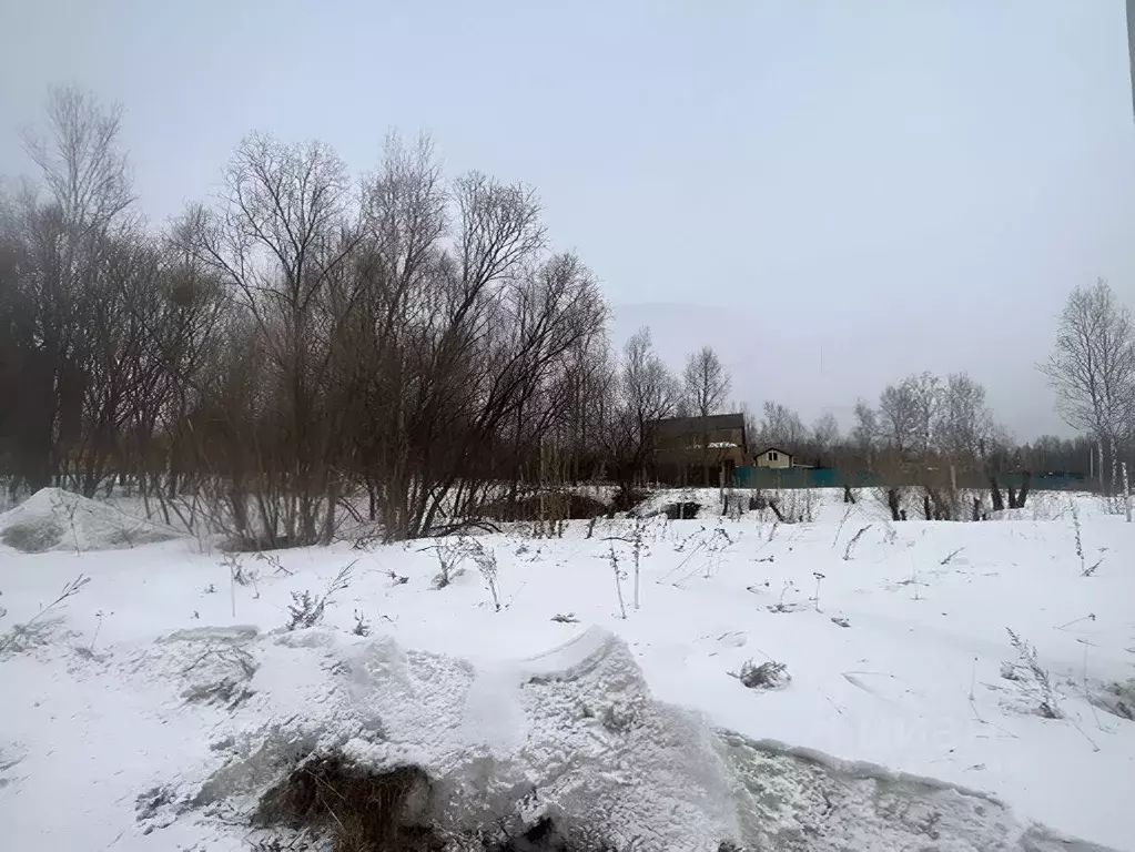 Участок в Хабаровский край, Хабаровск Музыкальная ул., 42 (11.0 сот.) - Фото 1