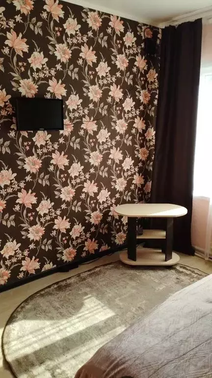 1-к кв. Воронежская область, Борисоглебск ул. Пешкова, 44 (24.0 м) - Фото 1