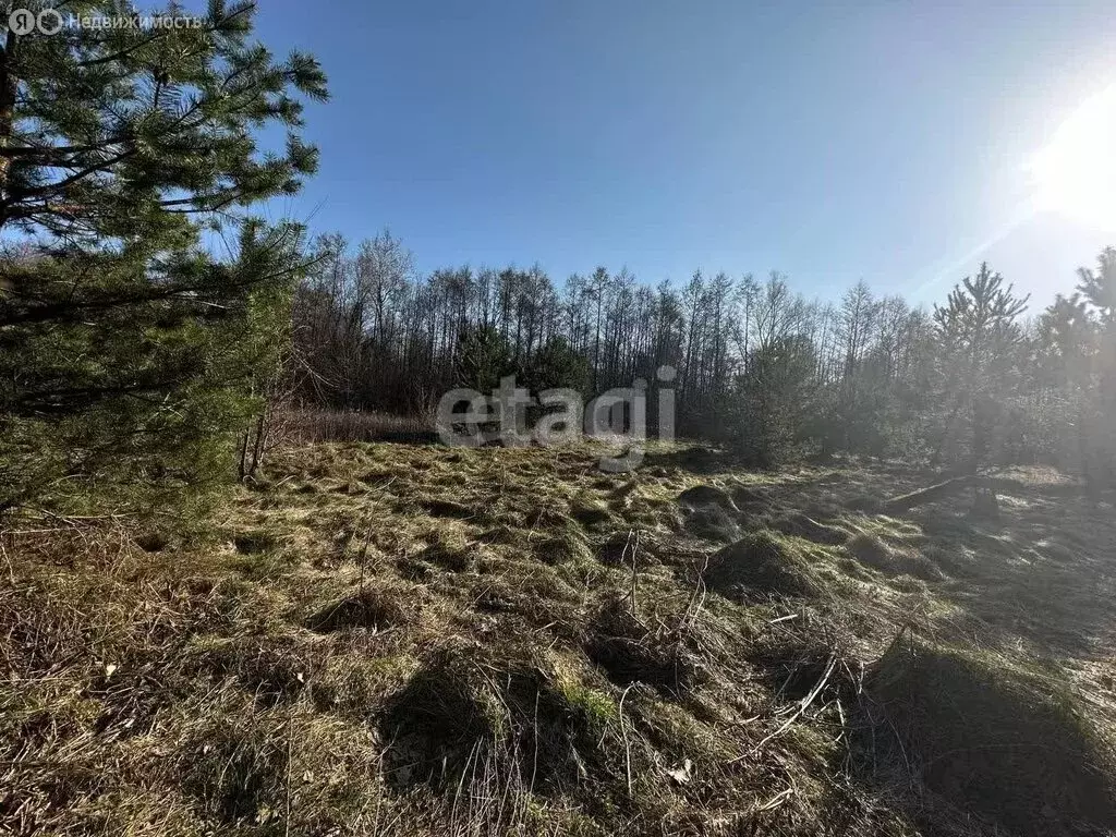 Участок в Калининградская область, Гвардейский муниципальный округ, ... - Фото 2