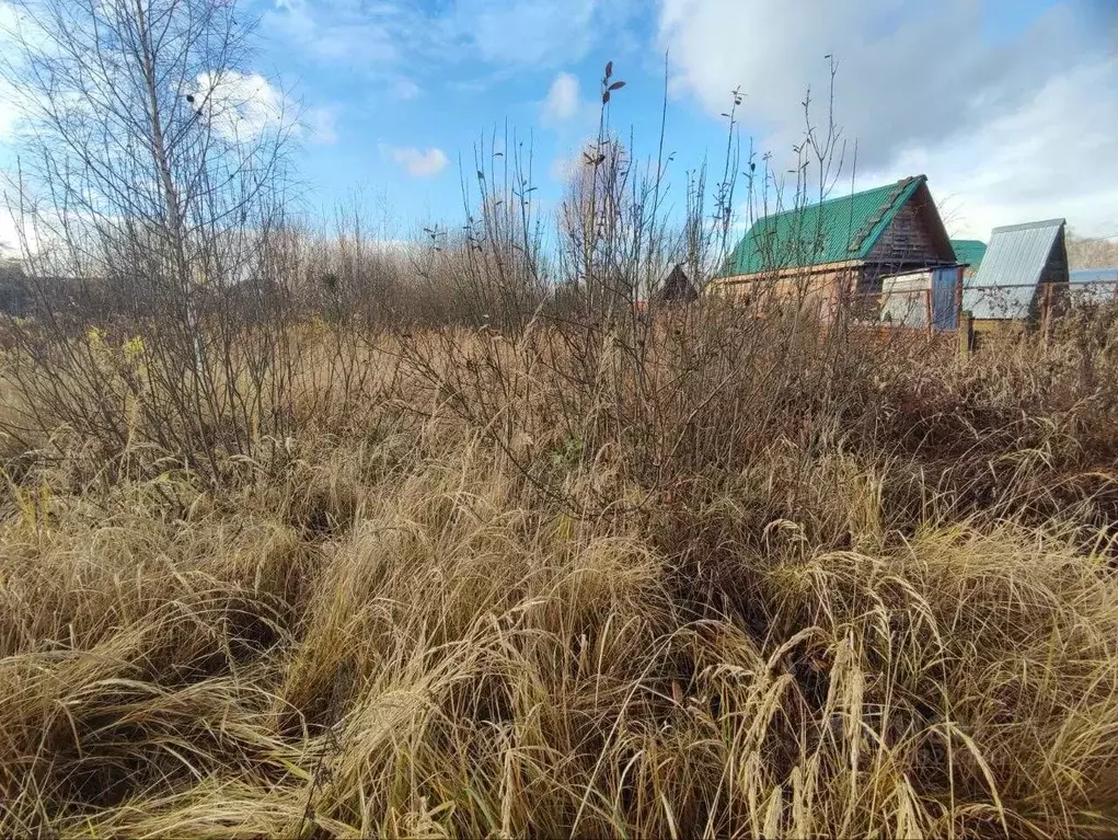 Участок в Московская область, Орехово-Зуевский городской округ, д. ... - Фото 2