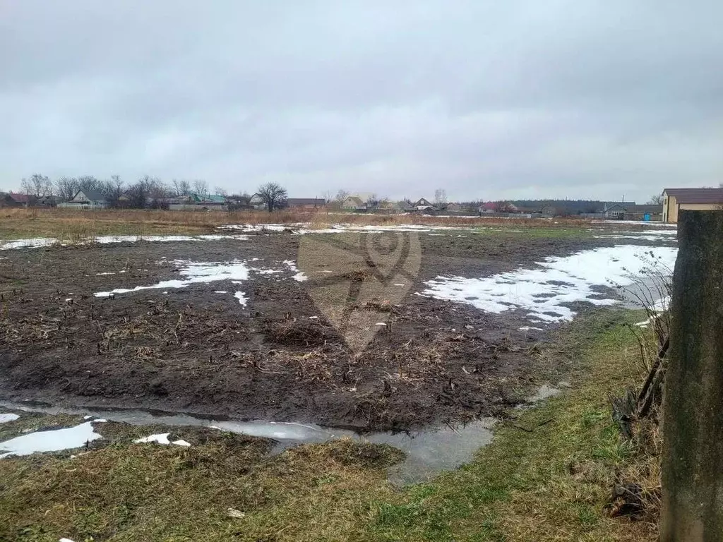 Участок в Белгородская область, Старооскольский городской округ, с. ... - Фото 0