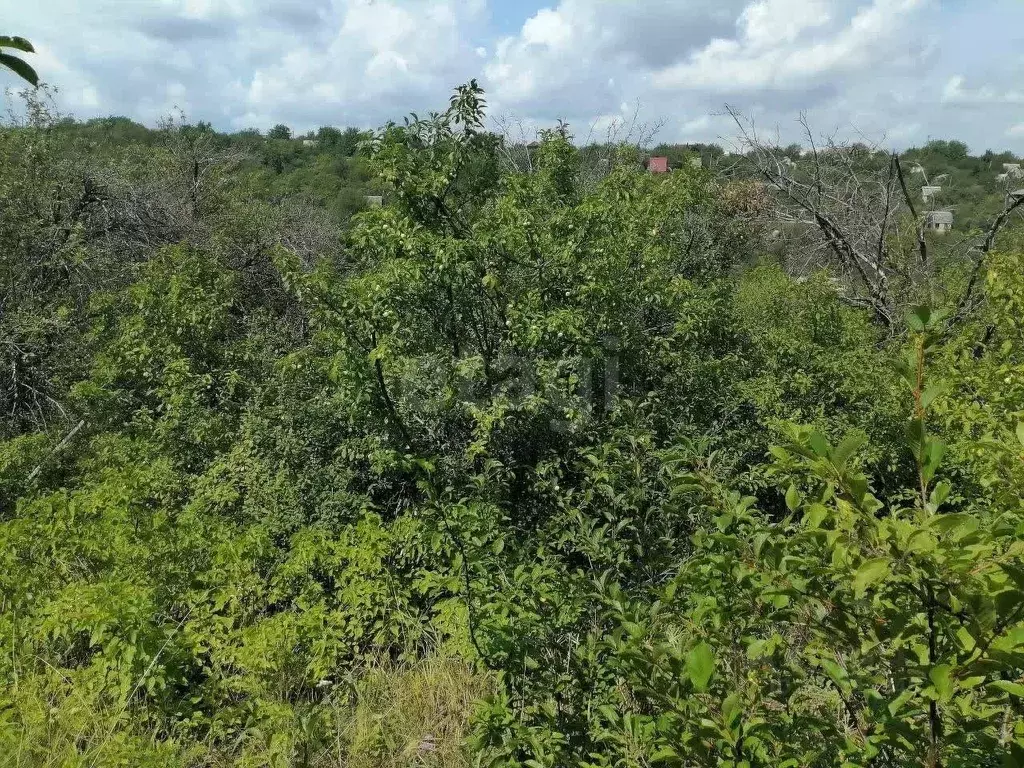 Участок в Белгородская область, Белгородский район, Северный городское ... - Фото 1