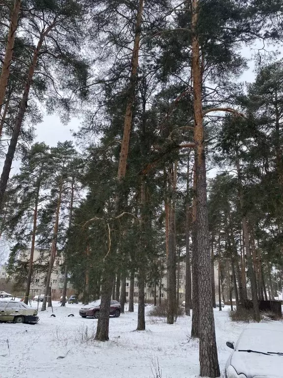 2-к кв. Тверская область, Конаковский муниципальный округ, Радченко ... - Фото 1