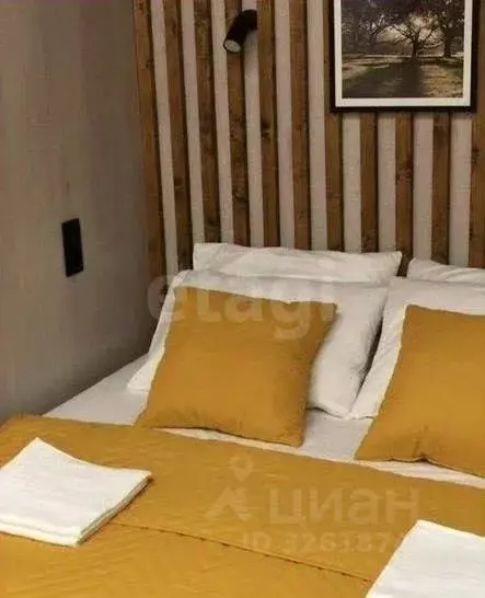 1-к кв. Санкт-Петербург Неманский пер., 3 (28.0 м) - Фото 0