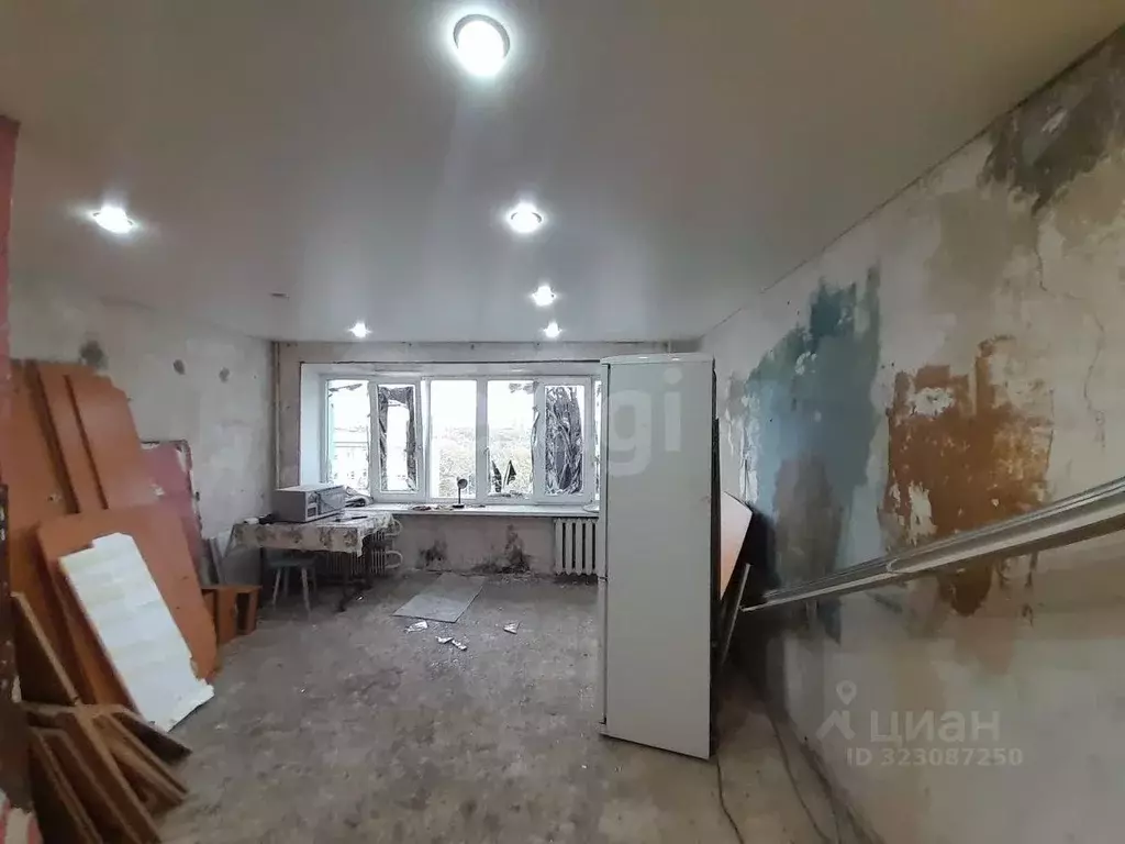 Комната Белгородская область, Белгород ул. Горького, 67 (22.0 м) - Фото 1