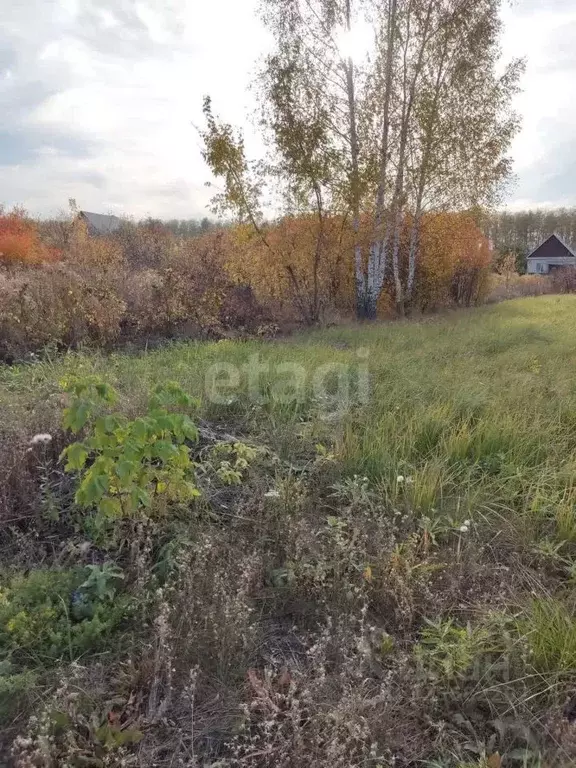 Участок в Пензенская область, Пенза Зеленая Поляна садовое дачное ... - Фото 2