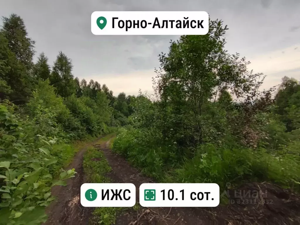 Участок в Алтай, Горно-Алтайск Поселковая ул. (10.1 сот.) - Фото 1