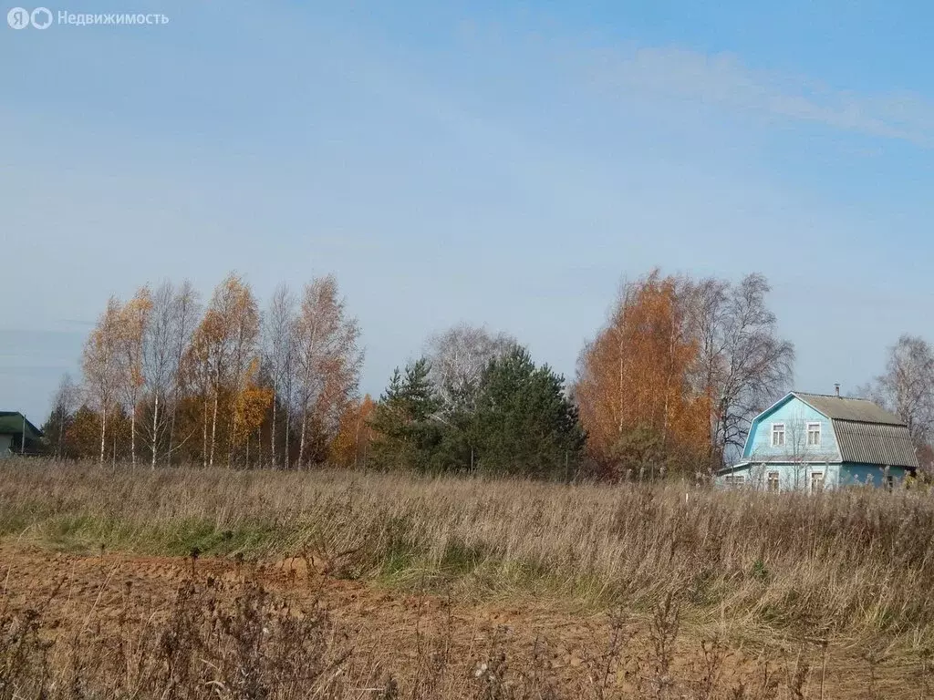 Участок в Вологодский муниципальный округ, деревня Голузино (22 м) - Фото 0