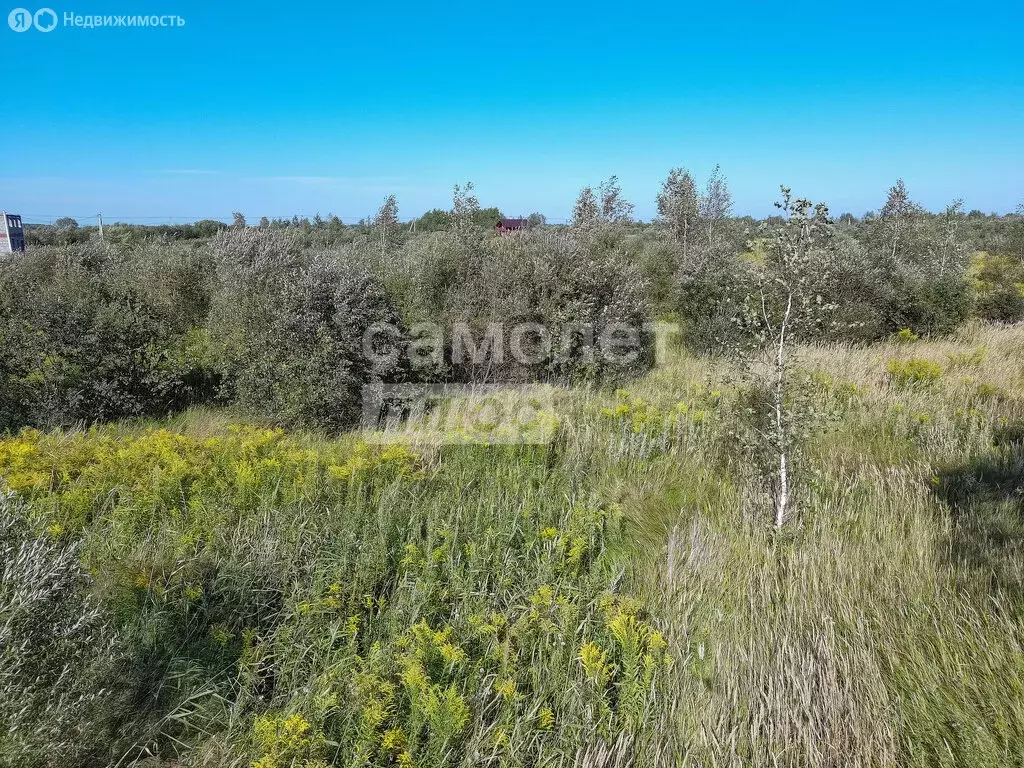 Участок в Хабаровский район, село Мирное (10.4 м) - Фото 1