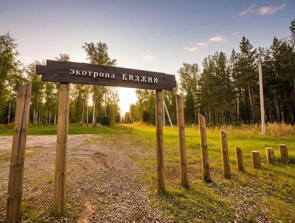 Участок в Челябинская область, Сосновский район, Кременкульское с/пос, ... - Фото 1