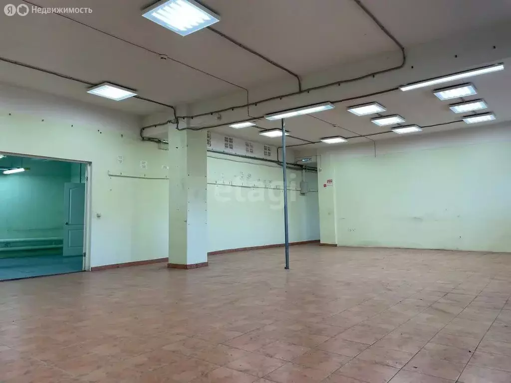 Помещение свободного назначения (233 м) - Фото 1