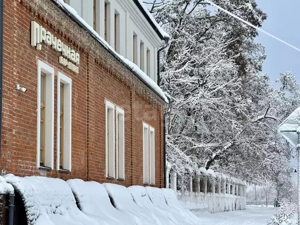 Помещение свободного назначения в Тамбовская область, Тамбов ул. ... - Фото 1