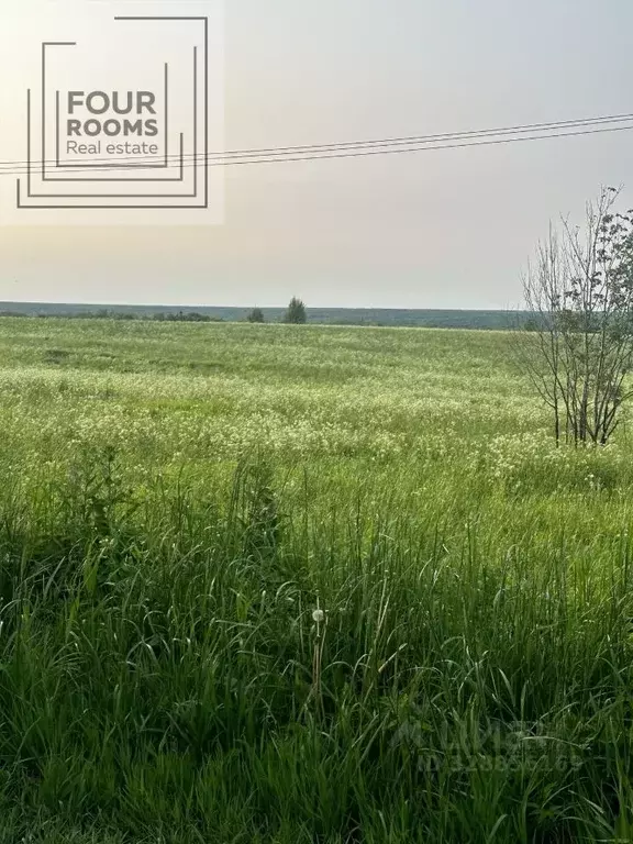 Участок в Ленинградская область, Ломоносовский район, Оржицкое с/пос, ... - Фото 1