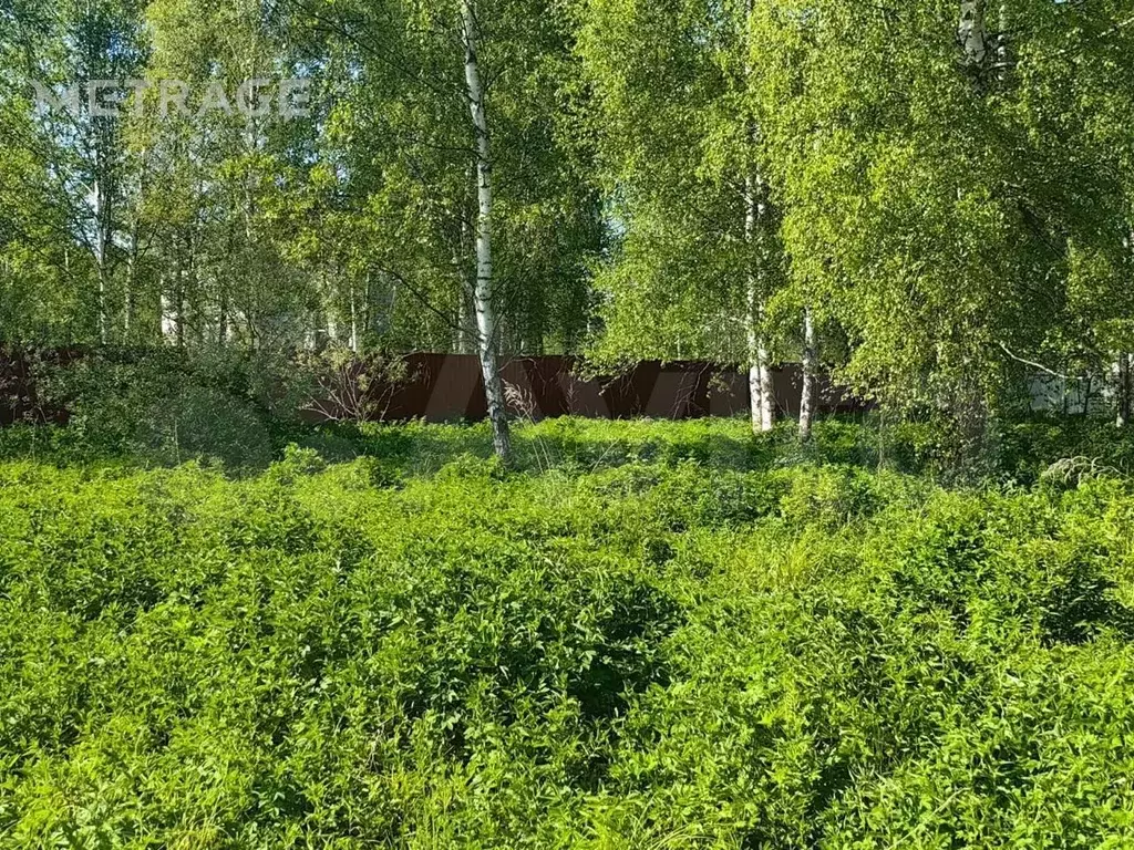 Участок 9 сот. (ИЖС) - Фото 0