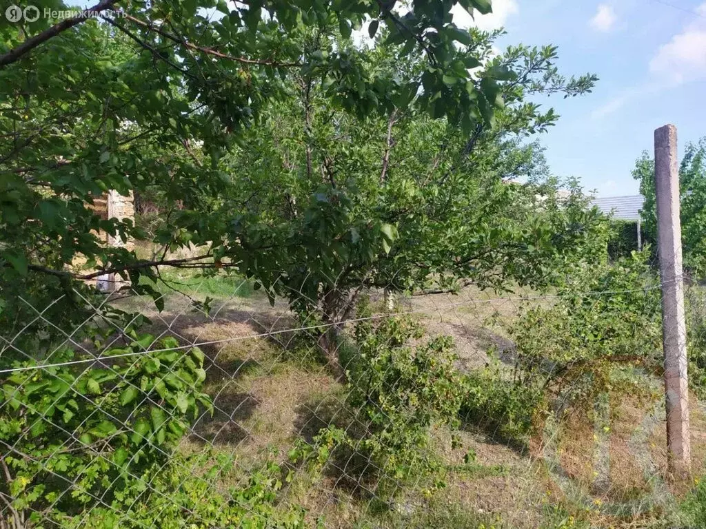 Участок в Симферополь, улица Тарабукина (8 м) - Фото 2