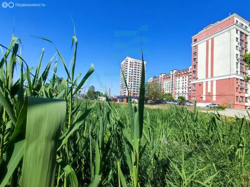 Квартира-студия: Симферополь, Севастопольская улица, 43Ж (41.7 м) - Фото 1