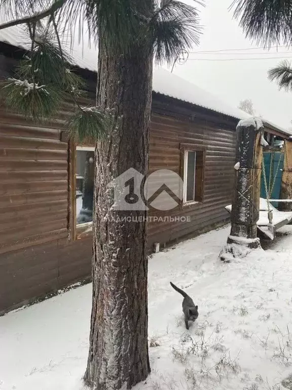 Дом в Кемеровская область, Кемерово пер. 2-й Иланский (69 м) - Фото 1