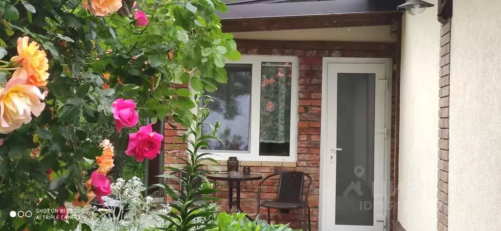 Студия Калининградская область, Балтийск Дачная ул., 2А (25.0 м) - Фото 1