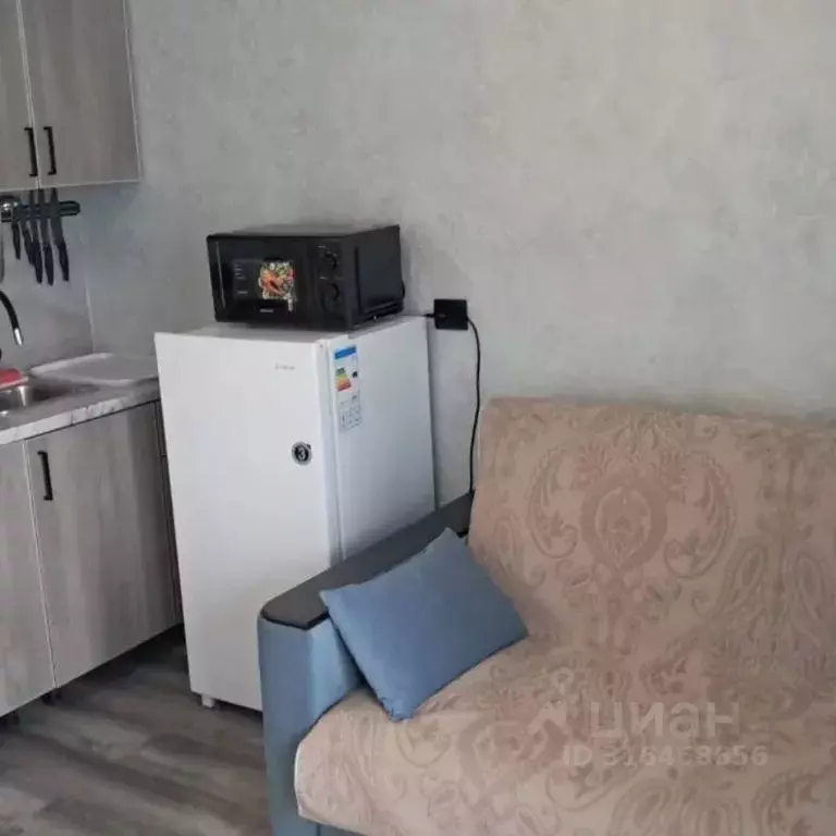 Студия Краснодарский край, Сочи Бытха мкр, ул. Ясногорская, 16/2к1 ... - Фото 0