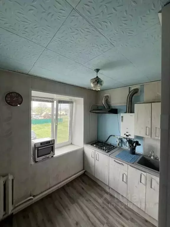 2-к кв. Башкортостан, с. Чишмы ул. Подгорная (42.0 м) - Фото 1