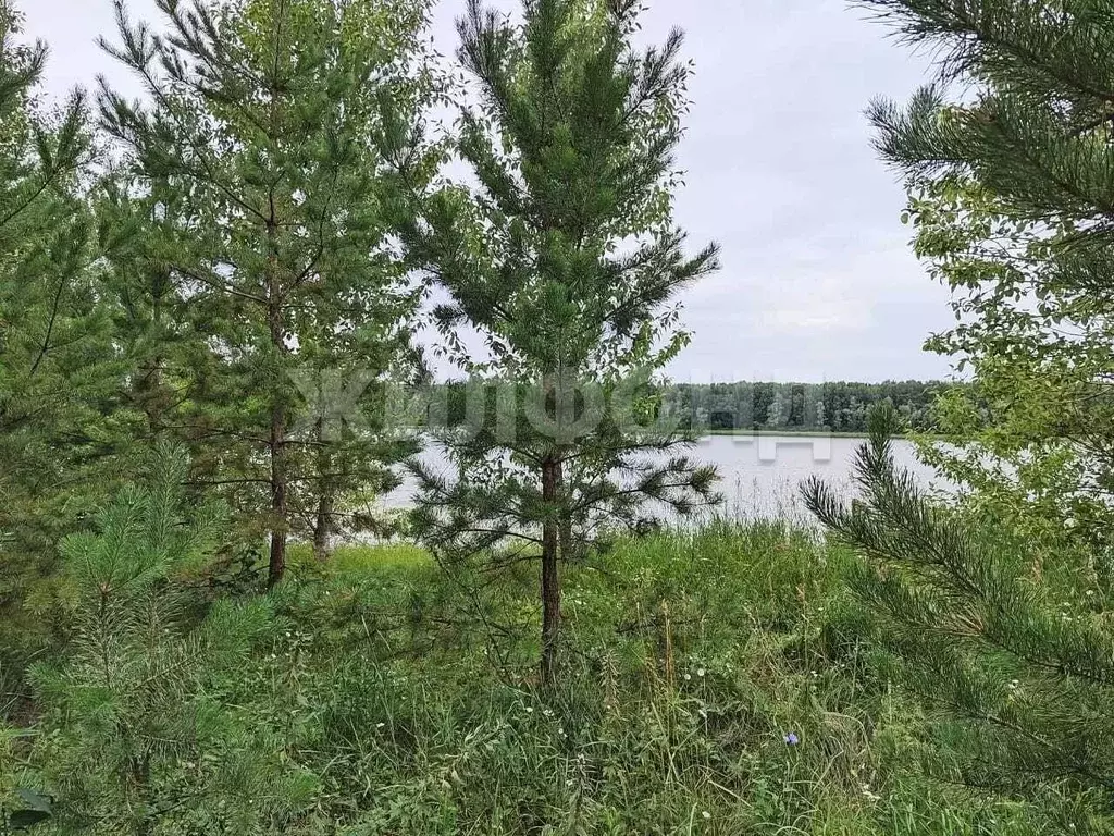 Дом в Новосибирская область, Ордынский район, д. Милованово Береговая ... - Фото 0
