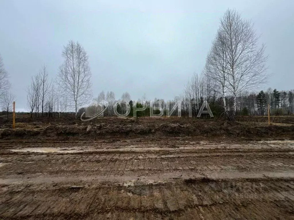 Участок в Тюменская область, Нижнетавдинский район, д. Штакульская  ... - Фото 2