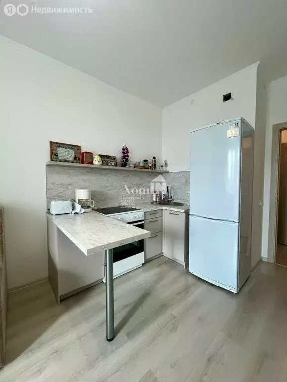 Квартира-студия: Мурино, Воронцовский бульвар, 21к3 (19.8 м) - Фото 2