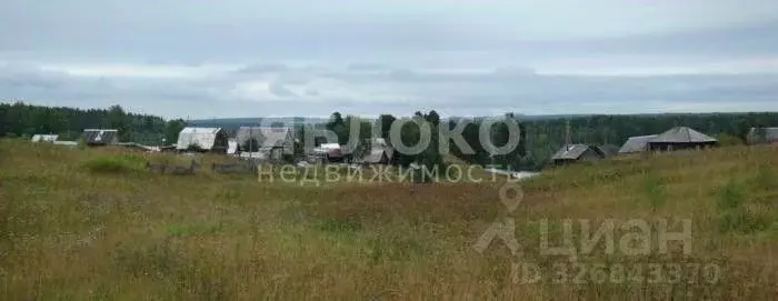 Участок в Пермский край, Березники муниципальный округ, д. Белая Пашня ... - Фото 1