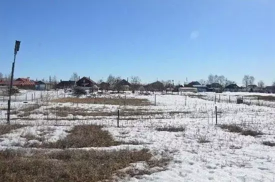 Участок в Самарская область, Ставропольский район, Тимофеевка с/пос, ... - Фото 2