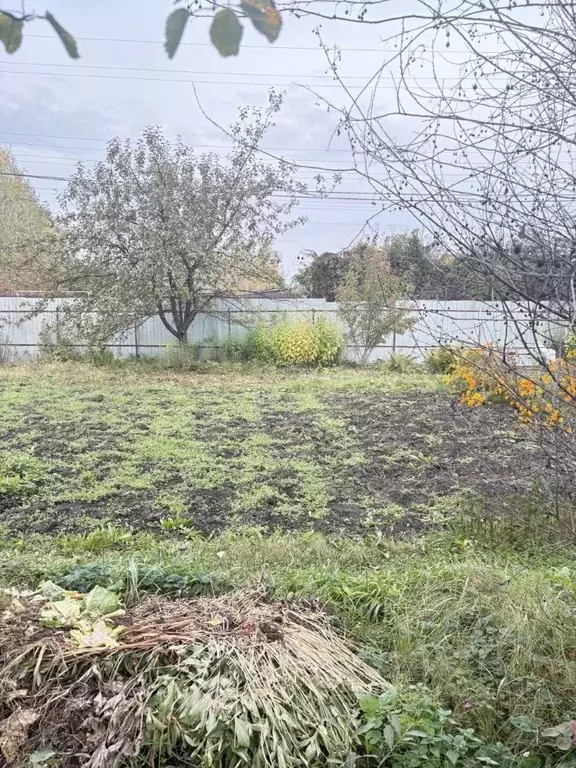Участок в Челябинская область, Сосновский муниципальный округ, Урал ... - Фото 1