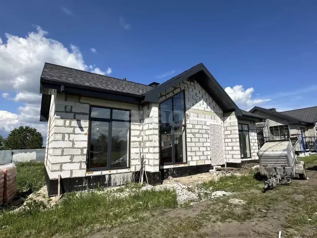 Дом в Воронежская область, Рамонский район, с. Новоживотинное ул. ... - Фото 1