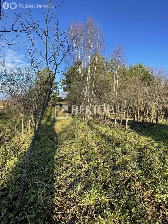 Дом в Костромской район, Бакшеевское сельское поселение, деревня ... - Фото 2