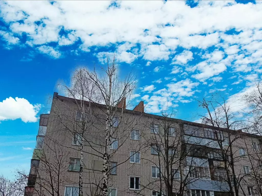 1-к кв. Ивановская область, Иваново Новосельская ул., 4 (31.7 м) - Фото 1