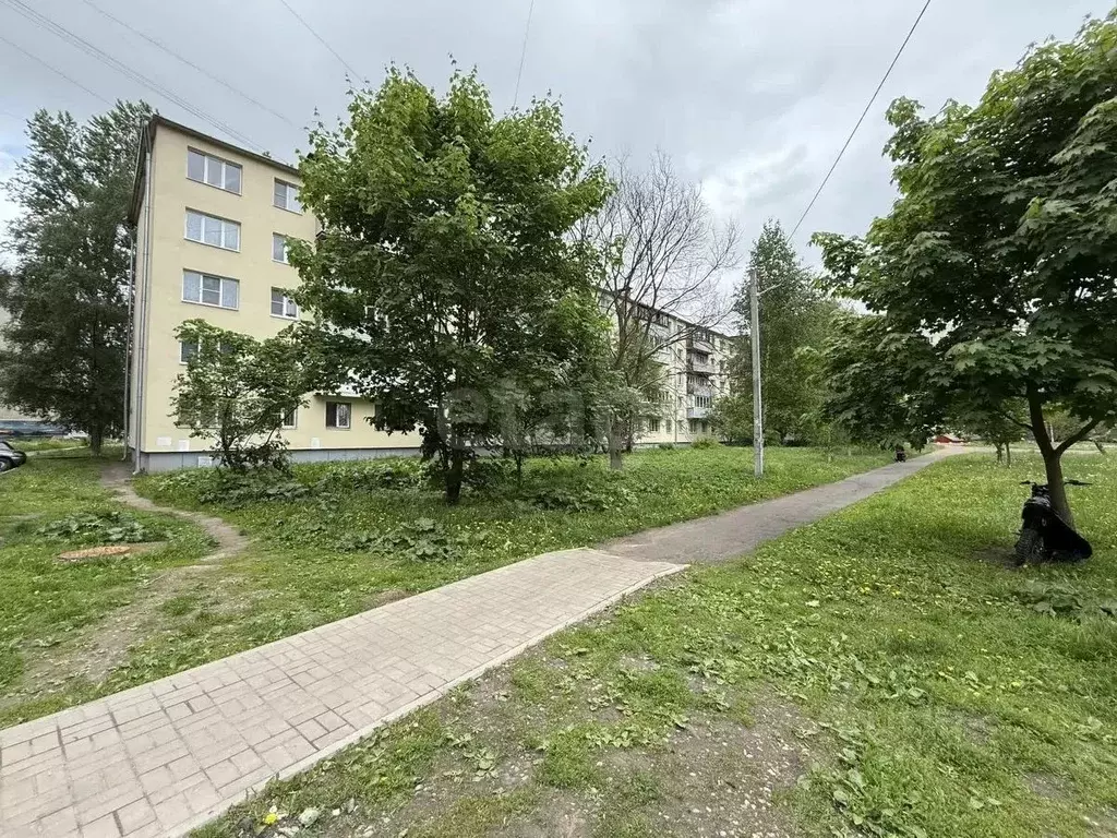 3-к кв. Ярославская область, Ярославль Северный жилрайон, ул. Елены ... - Фото 1