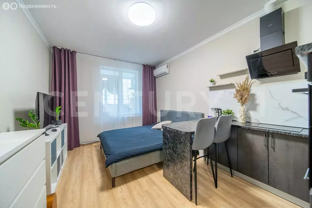 Квартира-студия: Мурино, Воронцовский бульвар, 14к5 (20.4 м) - Фото 2