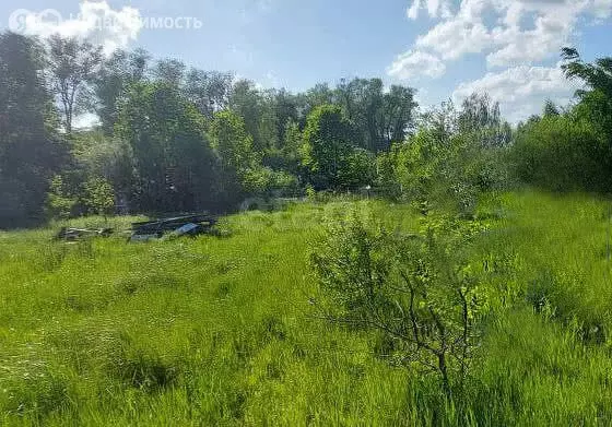 Участок в Калининград, СНТ Родник (5.9 м) - Фото 0