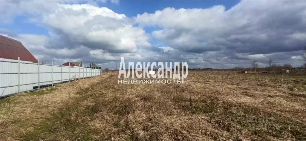 Участок в Ленинградская область, Волосовский район, Большеврудское ... - Фото 1