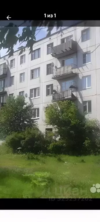 1-к кв. Ленинградская область, Сланцевский район, Старопольское с/пос, ... - Фото 1