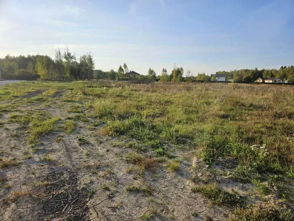 Участок в Московская область, Чехов городской округ, д. Сенино Верхняя ... - Фото 1