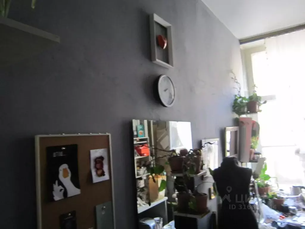 Комната Санкт-Петербург Моховая ул., 39 (9.6 м) - Фото 1