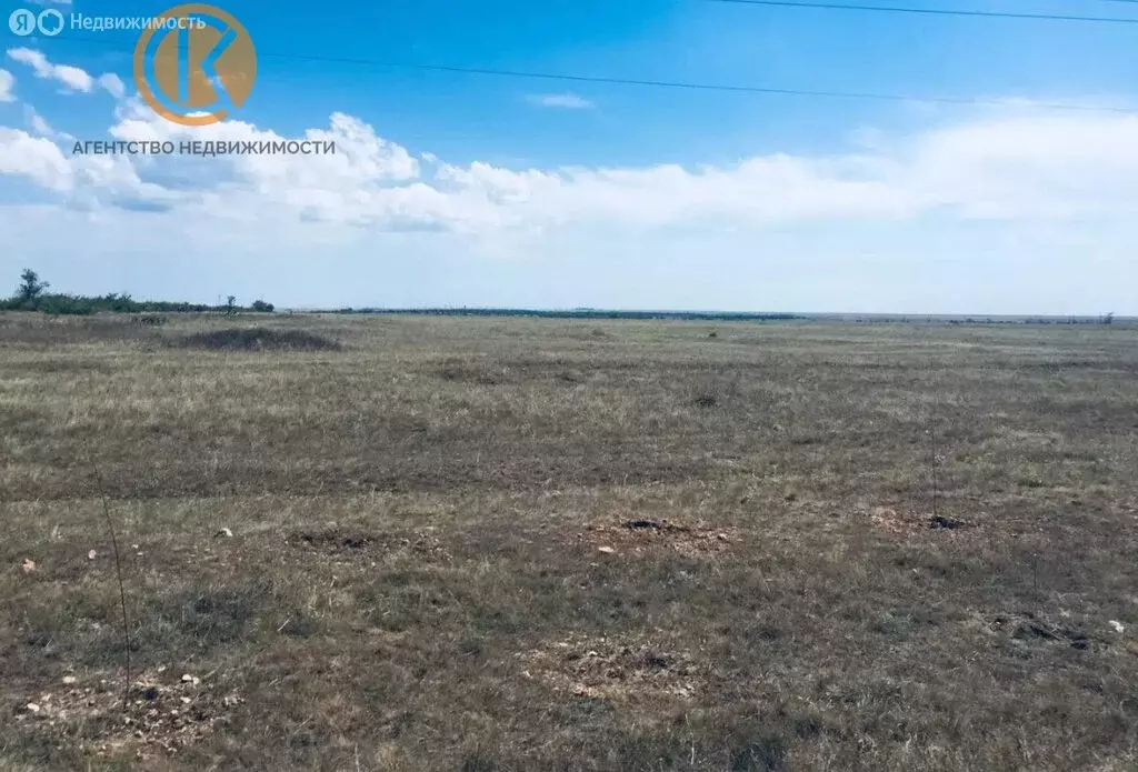 Участок в Сакский район, Молочненское сельское поселение, село Витино ... - Фото 0