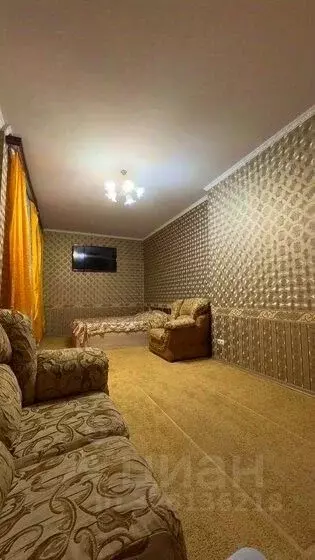 1-к кв. Санкт-Петербург ул. Пограничника Гарькавого, 33 (30.0 м) - Фото 1