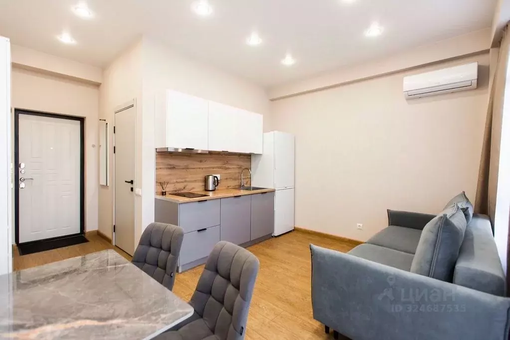 Студия Краснодарский край, Сочи пер. Юртовский, 3Ак1 (24.0 м) - Фото 1